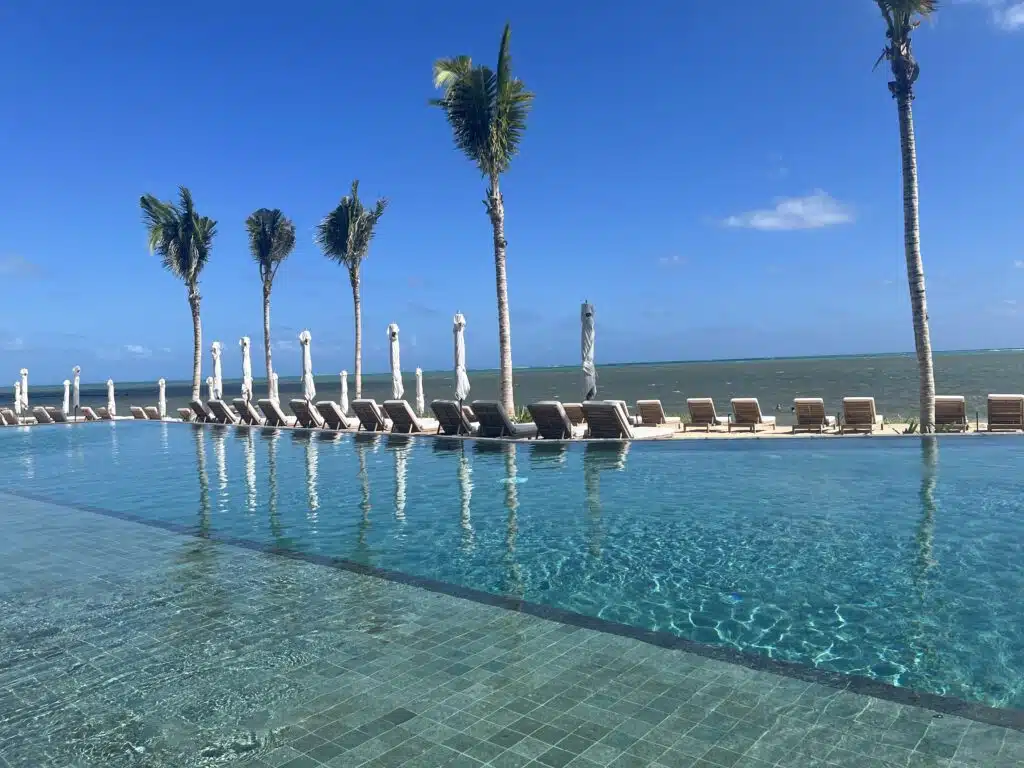 a pool with palm trees and chairs