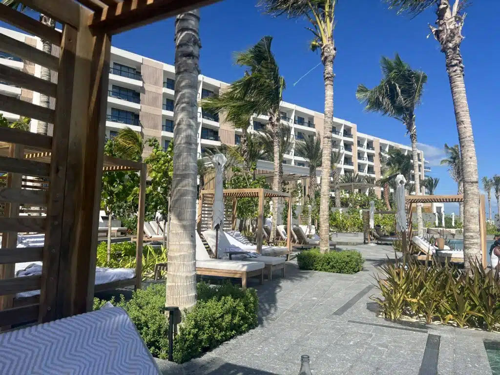 a group of lounge chairs and palm trees outside of a hotel