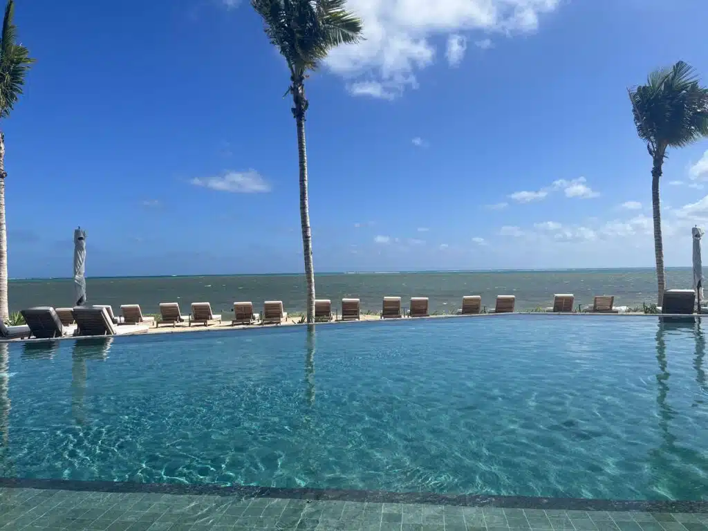 a pool with chairs and a palm tree in the background